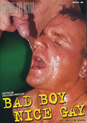 Bad Boy-Nice Gay