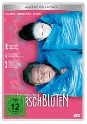 Kirschblüten - Hanami