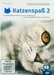 Katzenspaß 2