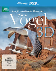 Die fantastische Reise der Vögel