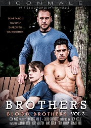 Brothers 3 Blood Brothers