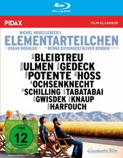 Elementarteilchen