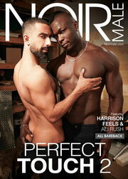 Perfect Touch 2