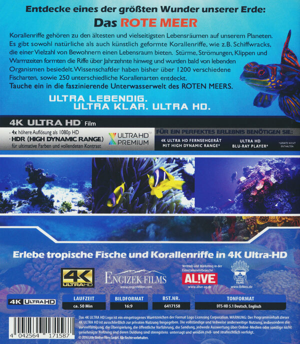 Red Sea – Bild 2
