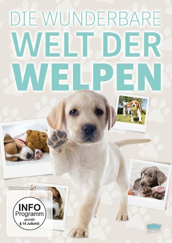 Die wunderbare Welt der Welpen – Bild 1