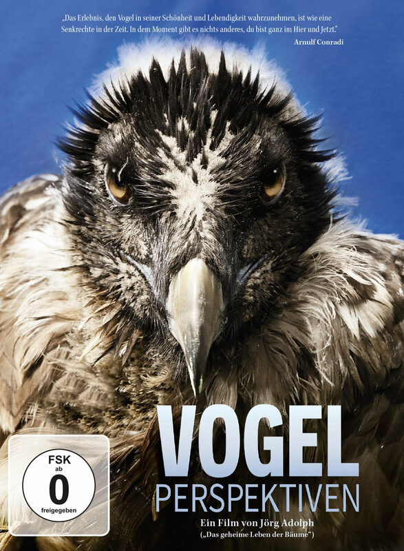 Vogelperspektiven – Bild 1