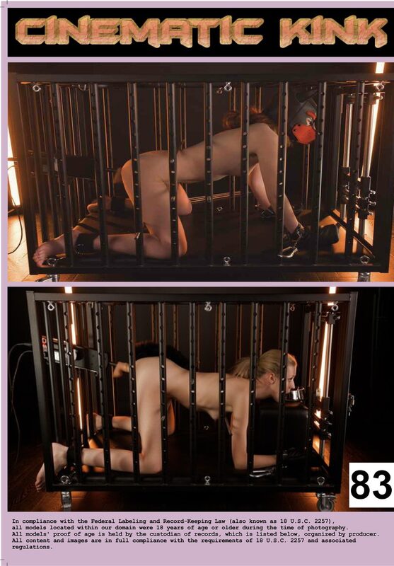Cinematic Kink - Kinky Porn & More Vol. 4 – Bild 2